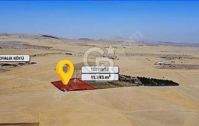 GÖLBAŞI BOYALIK DOĞANIN KALBİNDE BİR YATIRIM