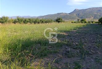 SAKARYA PAMUKOVA CİHADİYEDE 705 M2 SATILIK TARLA