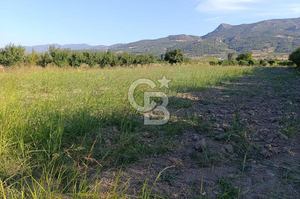 SAKARYA PAMUKOVA CİHADİYEDE 705 M2 SATILIK TARLA