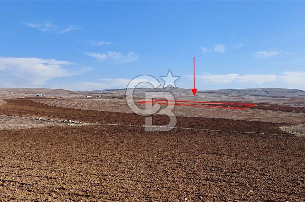 Çorum Mecitözü Tanrıvermiş Mah. Yukarıyazı Mevki Tek Tapu Tarla