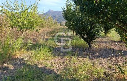 SAKARYA PAMUKOVA CİHADİYEDE 705 M2 SATILIK TARLA