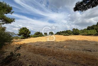 ÇANAKKALE MERKEZ YAPILDAK TA SATILIK 281 M2 TARLA