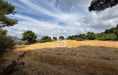 ÇANAKKALE MERKEZ YAPILDAK TA SATILIK 281 M2 TARLA