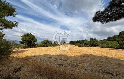 ÇANAKKALE MERKEZ YAPILDAK TA SATILIK 281 M2 TARLA