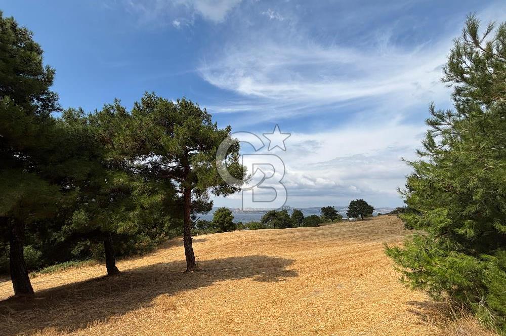 ÇANAKKALE MERKEZ YAPILDAK TA SATILIK 281 M2 TARLA