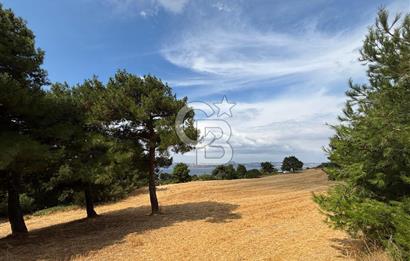 ÇANAKKALE MERKEZ YAPILDAK TA SATILIK 281 M2 TARLA
