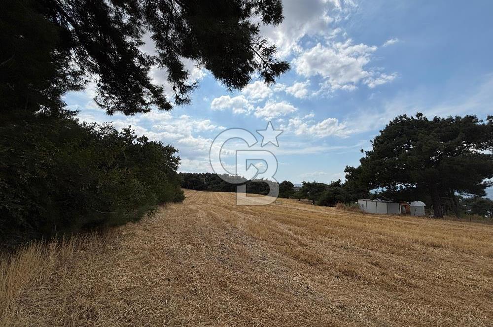 ÇANAKKALE MERKEZ YAPILDAK TA SATILIK 281 M2 TARLA