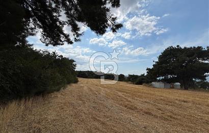 ÇANAKKALE MERKEZ YAPILDAK TA SATILIK 281 M2 TARLA