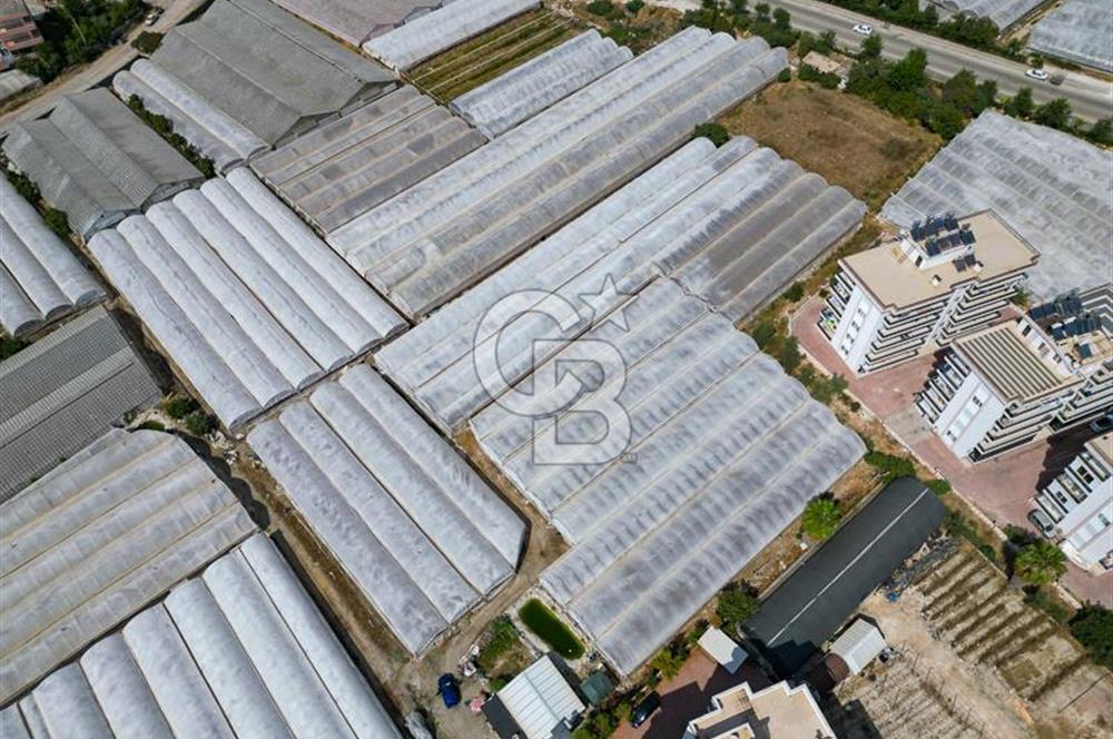 CB ARDENDEN ANTALYA DEMRE GÖKYAZIDA 1315 M2 SATILIK SERA