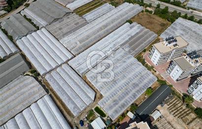 CB ARDENDEN ANTALYA DEMRE GÖKYAZIDA 1315 M2 SATILIK SERA