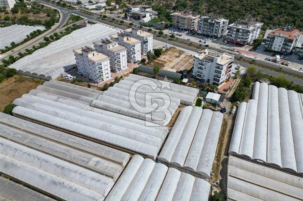 CB ARDENDEN ANTALYA DEMRE GÖKYAZIDA 1315 M2 SATILIK SERA