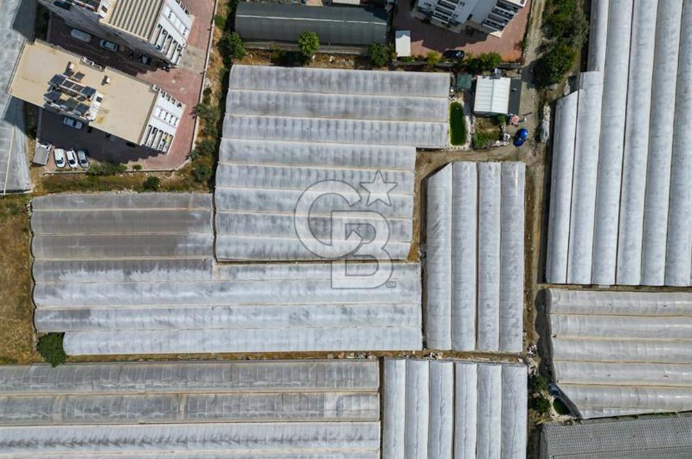 CB ARDENDEN ANTALYA DEMRE GÖKYAZIDA 1315 M2 SATILIK SERA