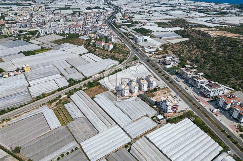 CB ARDENDEN ANTALYA DEMRE GÖKYAZIDA 1315 M2 SATILIK SERA
