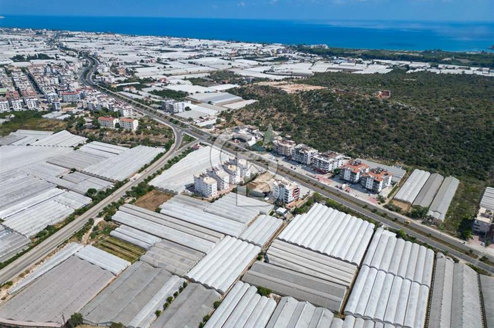 CB ARDENDEN ANTALYA DEMRE GÖKYAZIDA 1315 M2 SATILIK SERA