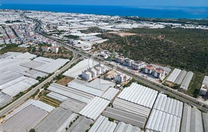 CB ARDENDEN ANTALYA DEMRE GÖKYAZIDA 1315 M2 SATILIK SERA