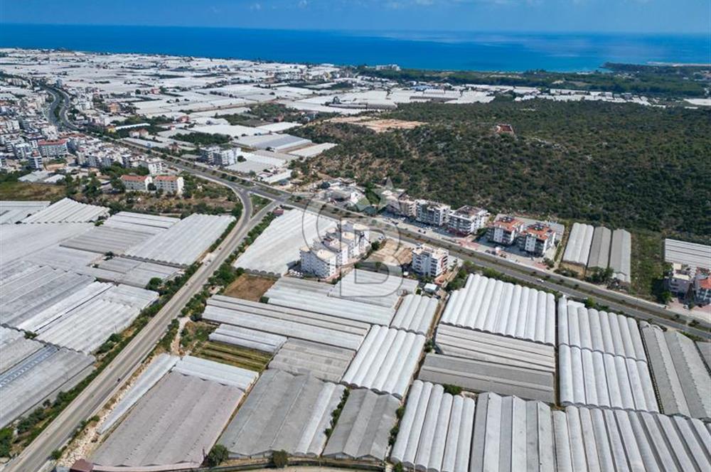 CB ARDENDEN ANTALYA DEMRE GÖKYAZIDA 1315 M2 SATILIK SERA