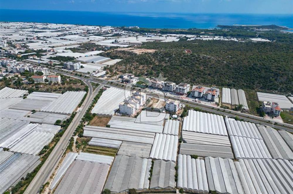 CB ARDENDEN ANTALYA DEMRE GÖKYAZIDA 1315 M2 SATILIK SERA