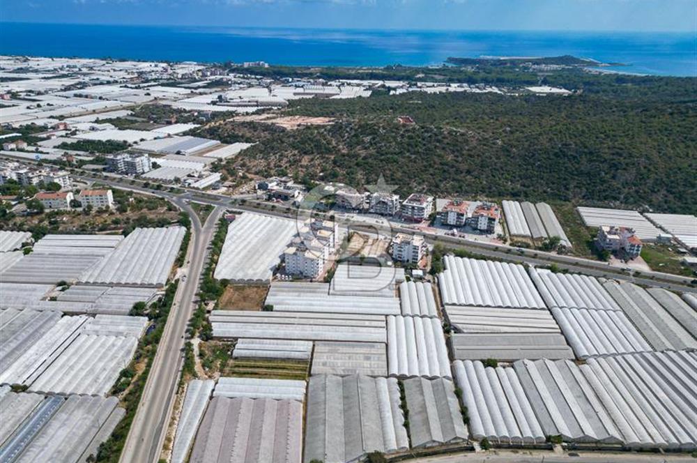 CB ARDENDEN ANTALYA DEMRE GÖKYAZIDA 1315 M2 SATILIK SERA