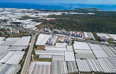 CB ARDENDEN ANTALYA DEMRE GÖKYAZIDA 1315 M2 SATILIK SERA