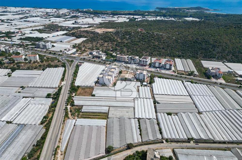 CB ARDENDEN ANTALYA DEMRE GÖKYAZIDA 1315 M2 SATILIK SERA