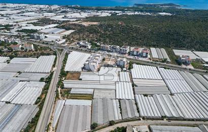 CB ARDENDEN ANTALYA DEMRE GÖKYAZIDA 1315 M2 SATILIK SERA