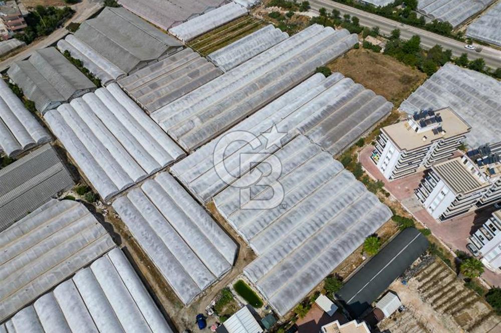 CB ARDENDEN ANTALYA DEMRE GÖKYAZIDA 1315 M2 SATILIK SERA