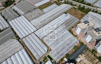 CB ARDENDEN ANTALYA DEMRE GÖKYAZIDA 1315 M2 SATILIK SERA