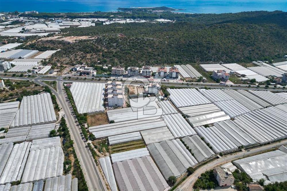 CB ARDENDEN ANTALYA DEMRE GÖKYAZIDA 1315 M2 SATILIK SERA