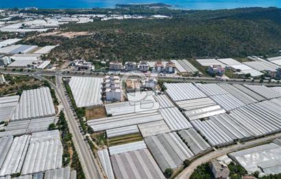 CB ARDENDEN ANTALYA DEMRE GÖKYAZIDA 1315 M2 SATILIK SERA