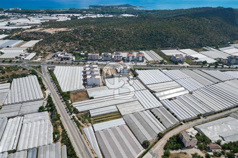 CB ARDENDEN ANTALYA DEMRE GÖKYAZIDA 1315 M2 SATILIK SERA
