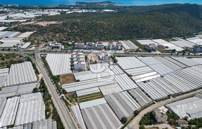 CB ARDENDEN ANTALYA DEMRE GÖKYAZIDA 1315 M2 SATILIK SERA