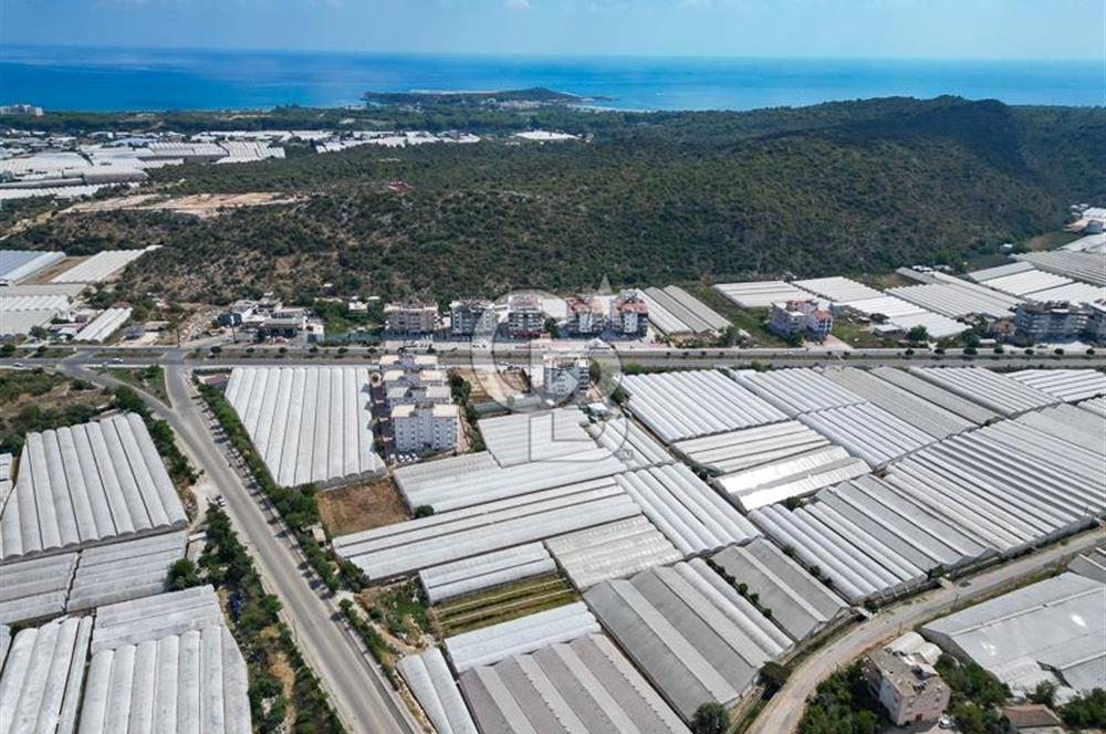 CB ARDENDEN ANTALYA DEMRE GÖKYAZIDA 1315 M2 SATILIK SERA