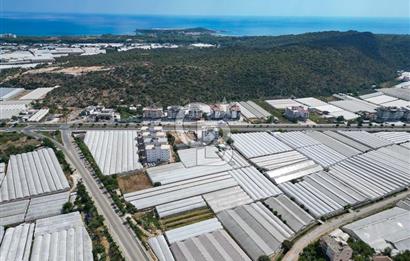 CB ARDENDEN ANTALYA DEMRE GÖKYAZIDA 1315 M2 SATILIK SERA