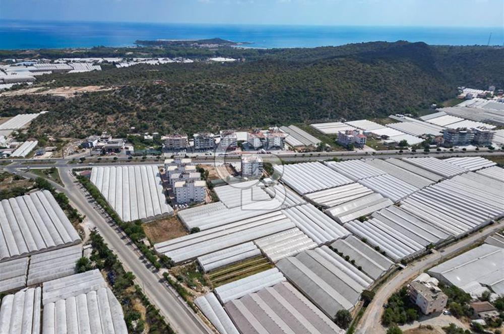 CB ARDENDEN ANTALYA DEMRE GÖKYAZIDA 1315 M2 SATILIK SERA