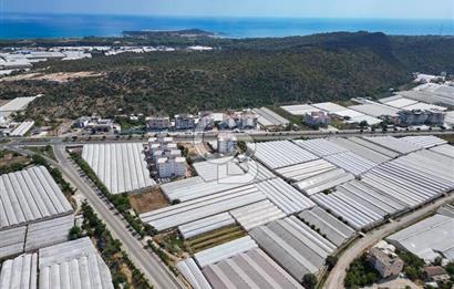 CB ARDENDEN ANTALYA DEMRE GÖKYAZIDA 1315 M2 SATILIK SERA