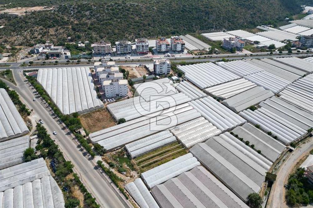 CB ARDENDEN ANTALYA DEMRE GÖKYAZIDA 1315 M2 SATILIK SERA