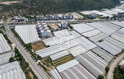 CB ARDENDEN ANTALYA DEMRE GÖKYAZIDA 1315 M2 SATILIK SERA