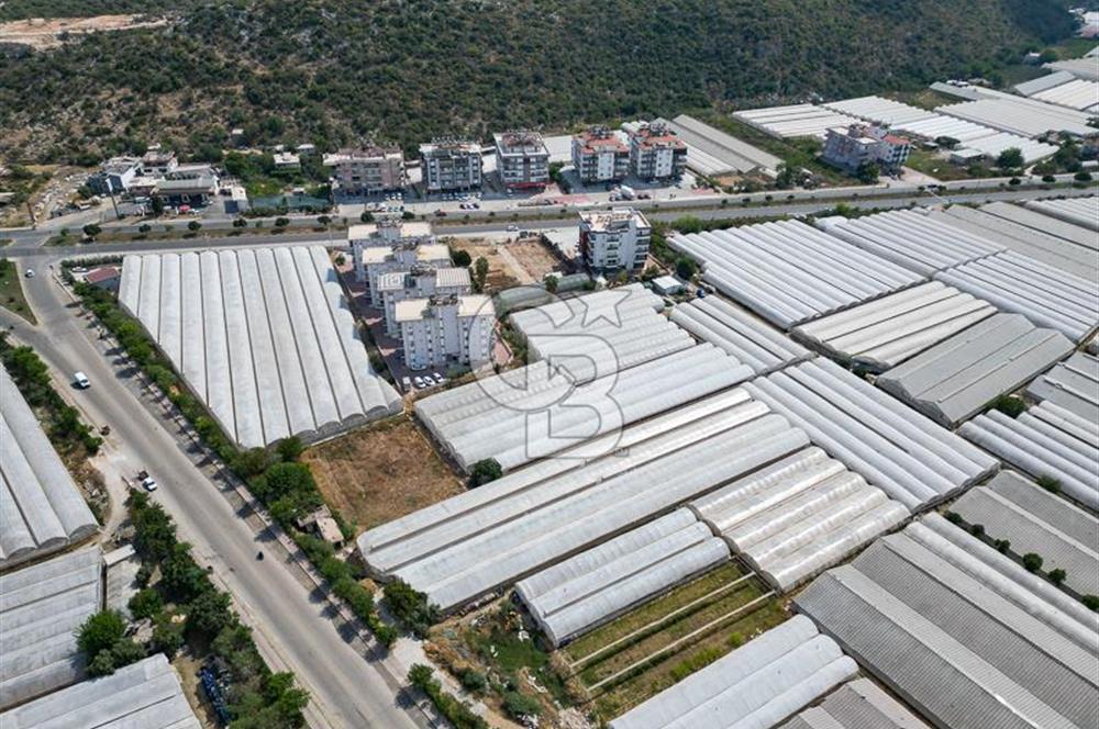 CB ARDENDEN ANTALYA DEMRE GÖKYAZIDA 1315 M2 SATILIK SERA