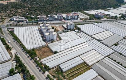 CB ARDENDEN ANTALYA DEMRE GÖKYAZIDA 1315 M2 SATILIK SERA