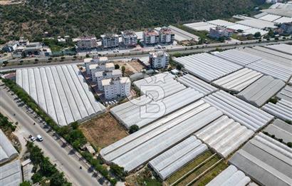 CB ARDENDEN ANTALYA DEMRE GÖKYAZIDA 1315 M2 SATILIK SERA