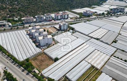 CB ARDENDEN ANTALYA DEMRE GÖKYAZIDA 1315 M2 SATILIK SERA