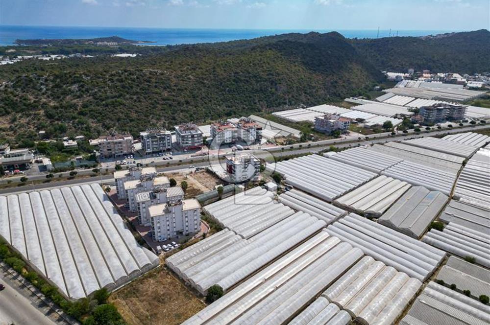 CB ARDENDEN ANTALYA DEMRE GÖKYAZIDA 1315 M2 SATILIK SERA