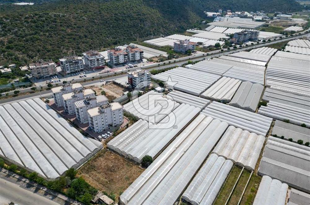CB ARDENDEN ANTALYA DEMRE GÖKYAZIDA 1315 M2 SATILIK SERA