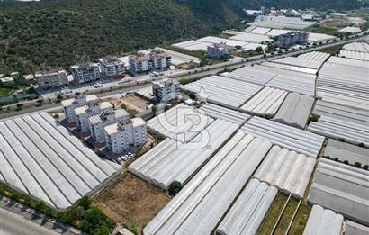 CB ARDENDEN ANTALYA DEMRE GÖKYAZIDA 1315 M2 SATILIK SERA