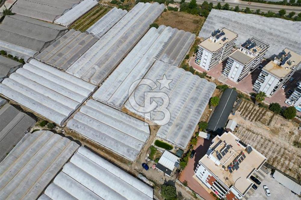 CB ARDENDEN ANTALYA DEMRE GÖKYAZIDA 1315 M2 SATILIK SERA