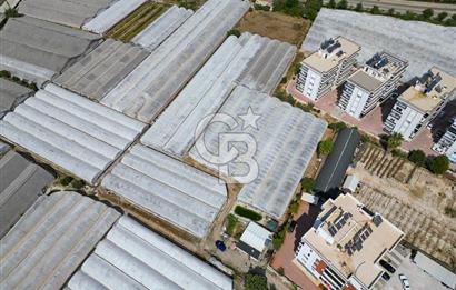 CB ARDENDEN ANTALYA DEMRE GÖKYAZIDA 1315 M2 SATILIK SERA