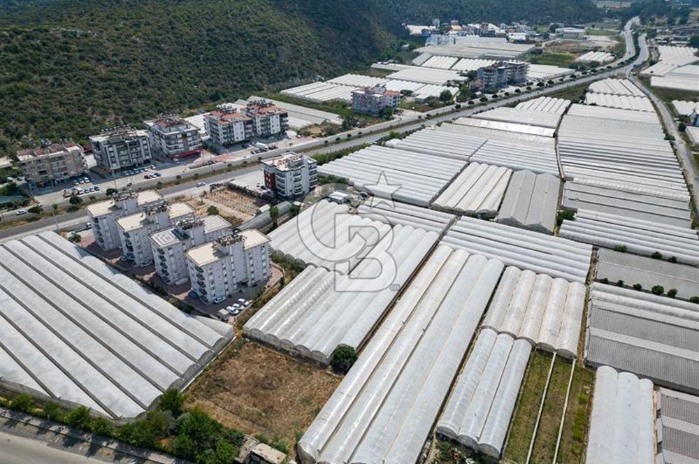 CB ARDENDEN ANTALYA DEMRE GÖKYAZIDA 1315 M2 SATILIK SERA