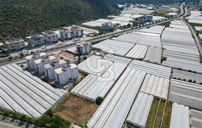 CB ARDENDEN ANTALYA DEMRE GÖKYAZIDA 1315 M2 SATILIK SERA