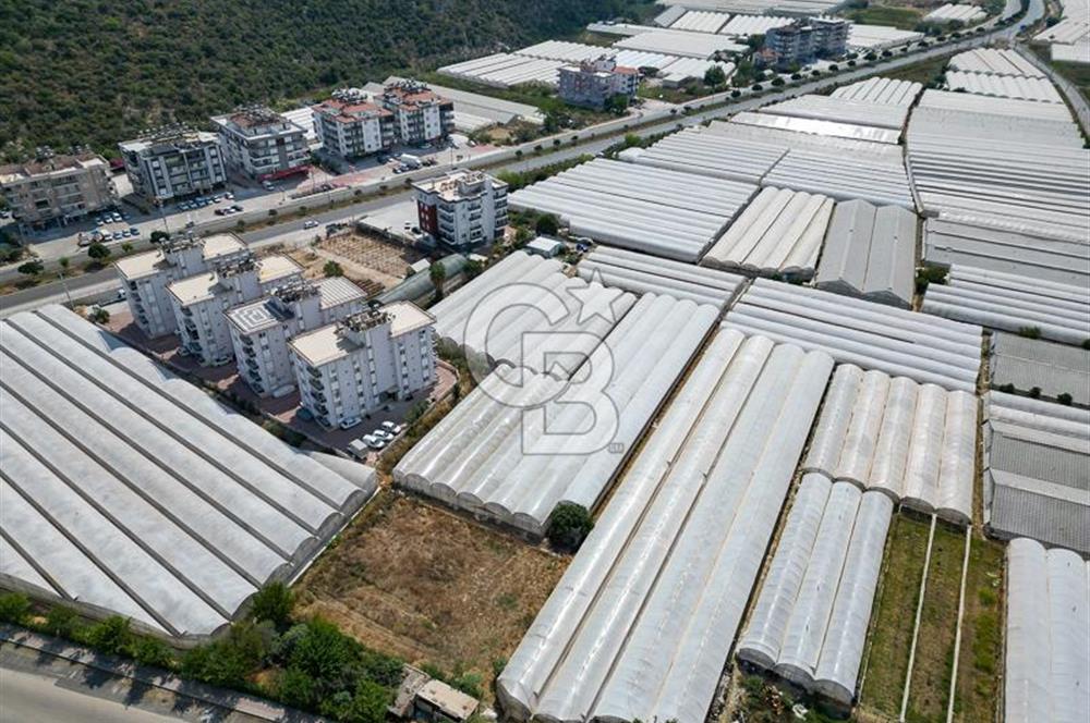 CB ARDENDEN ANTALYA DEMRE GÖKYAZIDA 1315 M2 SATILIK SERA