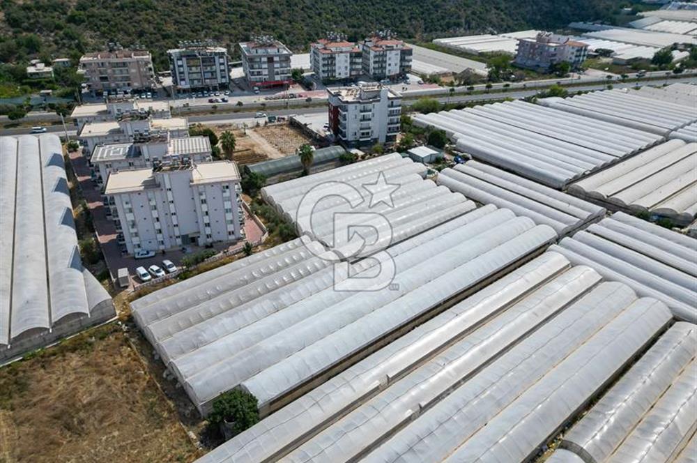 CB ARDENDEN ANTALYA DEMRE GÖKYAZIDA 1315 M2 SATILIK SERA